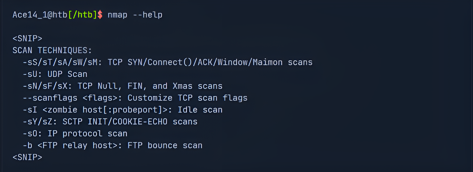 NmapScanTechniques